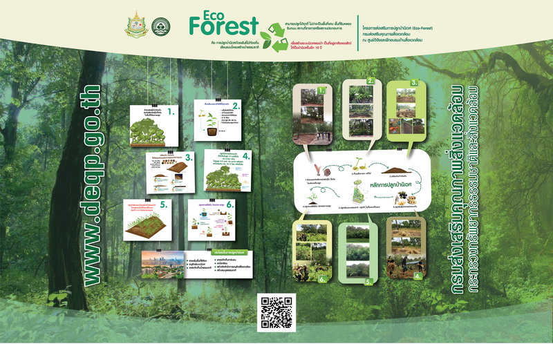 Popup Eco Forest