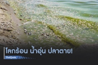 ภาวะโลกร้อนทำน้ำอุ่นขึ้น “ปลาทะเล-น้ำจืด” เสี่ยงสูญพันธุ์