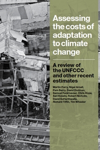 Assessing the costs of adaptation