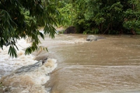 “ฝายชะลอน้ำ” กับจัดการน้ำชุมชนสู้ภัยพิบัติทางน้ำ
