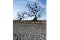 2013: A Tipping Year For Climate Change?