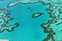 นายกรัฐมนตรีออสเตรเลีย จัดงบ2.6หมื่นล้าน ฟื้นฟูแนวปะการังเกรตแบร์ริเออร์รีฟ