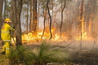 ออสเตรเลียเตตรียมรับมือไฟป่าจากคลื่นความร้อน